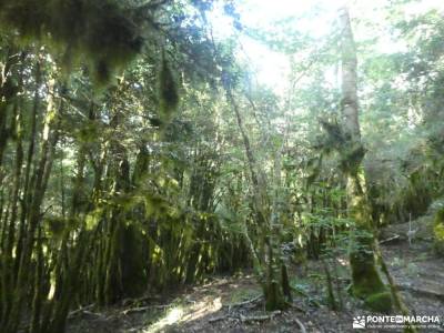 Valle del Tena - Pirineos Atlánticos; valles del pirineo aragones pico del fraile garganta de los in